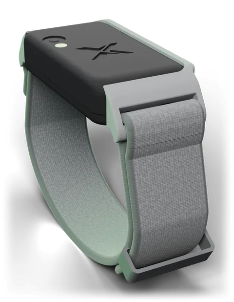 XTuned Band with a stone grey frame