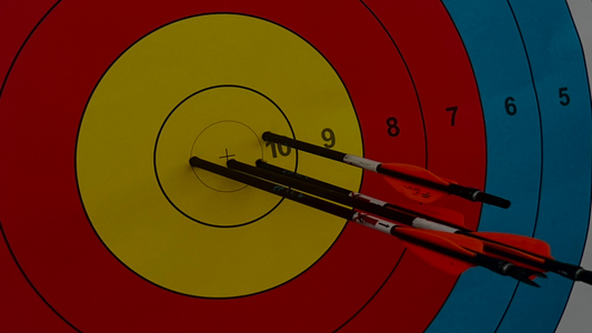 Premium 12-Arrow XTuned Service